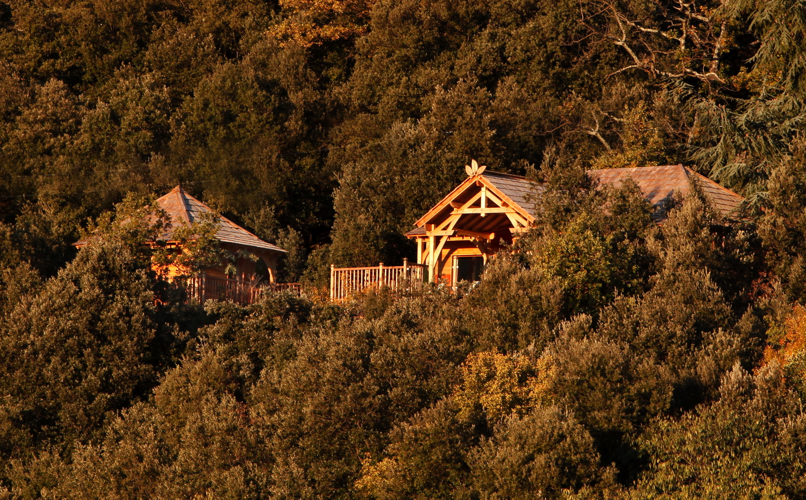 La Cabane Dans Les Arbres Du Fanabregue
